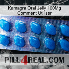 Kamagra Oral Jelly 100Mg How To Use viagra1